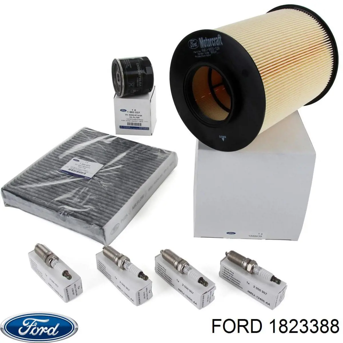 Купити 1823388 Ford Ремінь газорозподільного механізму