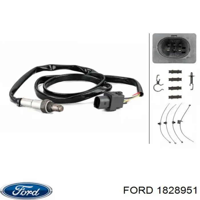 Купити 1828951 Ford Датчик положення (оборотів) коленвалу
