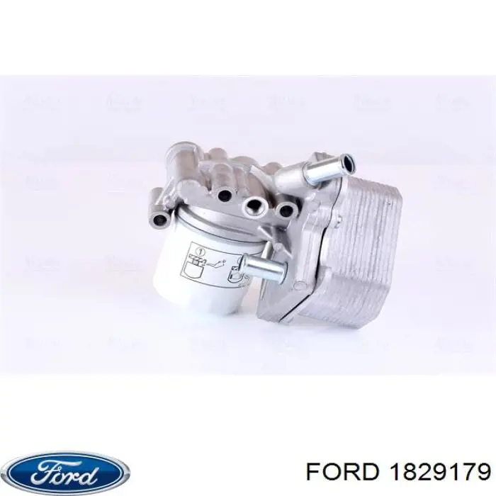 Купити 1829179 Ford Радіатор масляний (холодильник), під фільтром