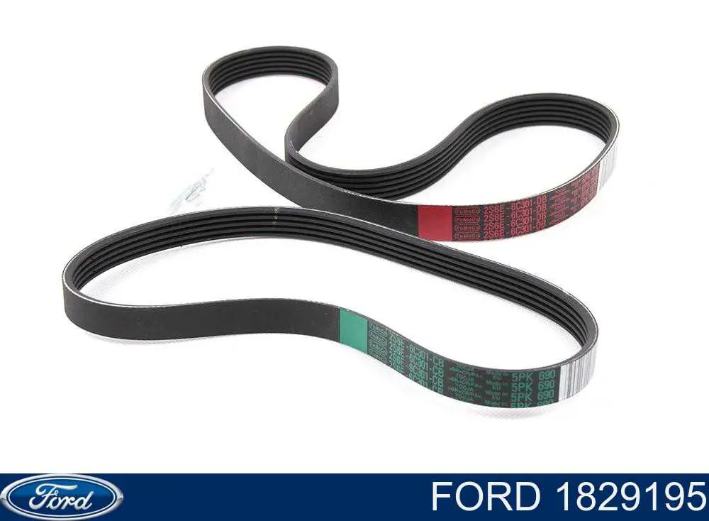 Купити 1829195 Ford Ремінь приводний, агрегатів, комплект
