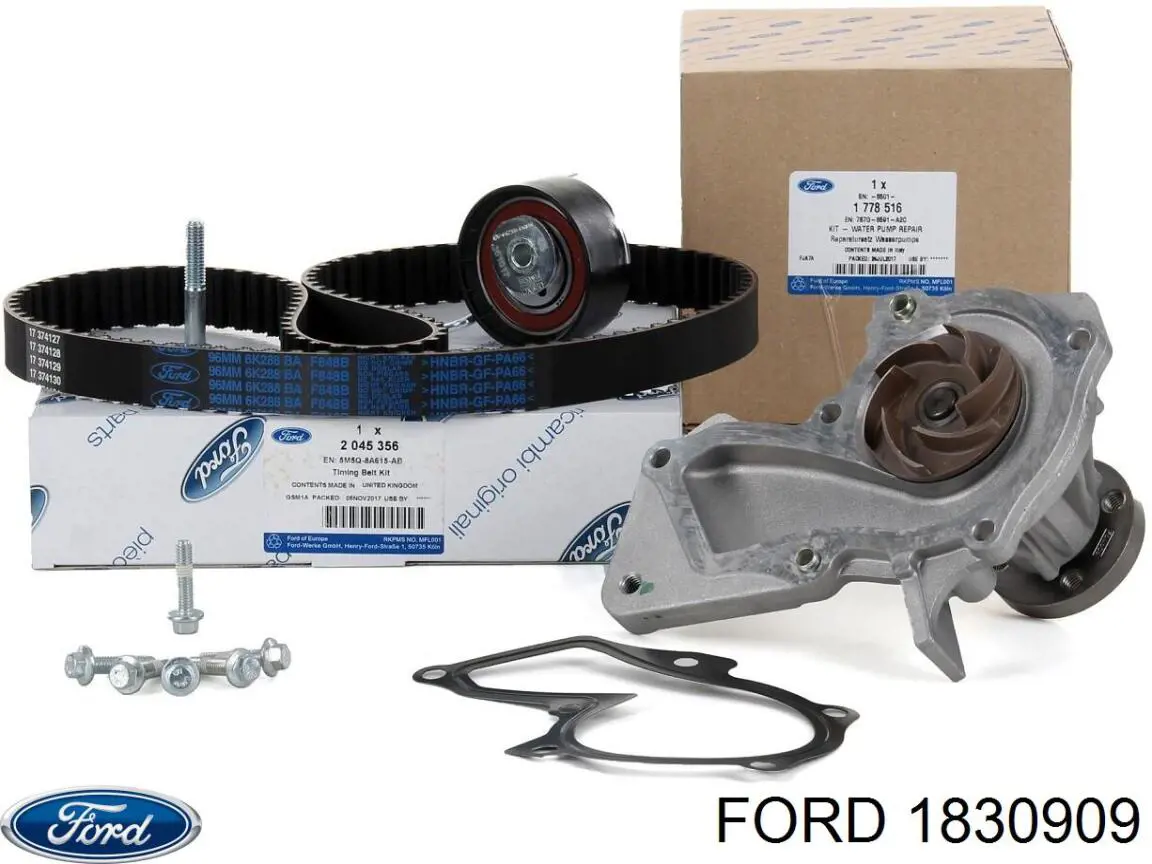Купити 1830909 Ford Ремінь генератора