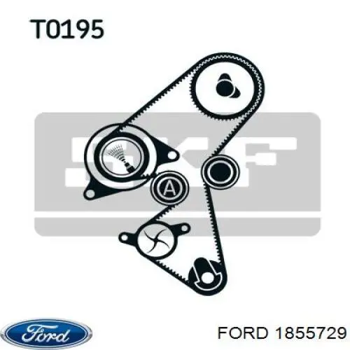 Купити 1855729 Ford ГРМ ремень