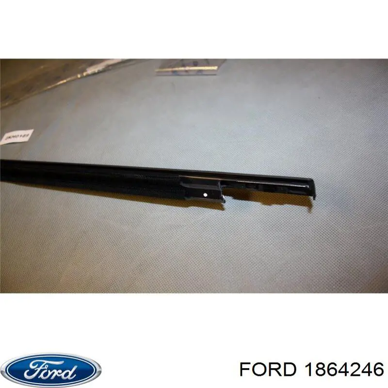 Купити 1864247 Ford Ущільнювач скла задніх дверей лівих, зовнішній (планка)