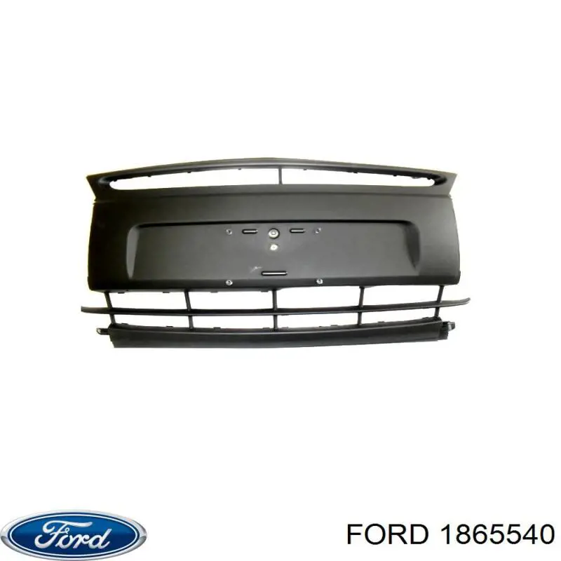 1925072 Ford Амортизатор передньої підвіски