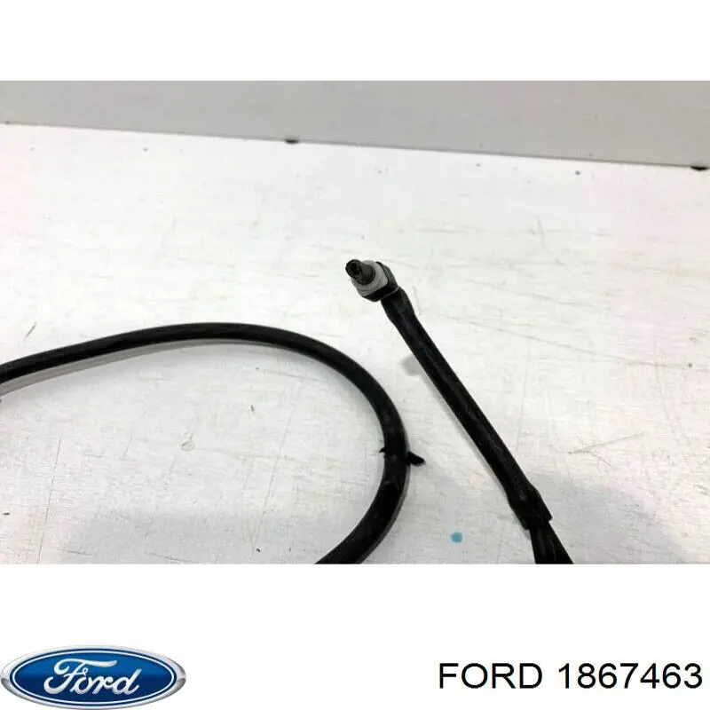 1867463 Ford 