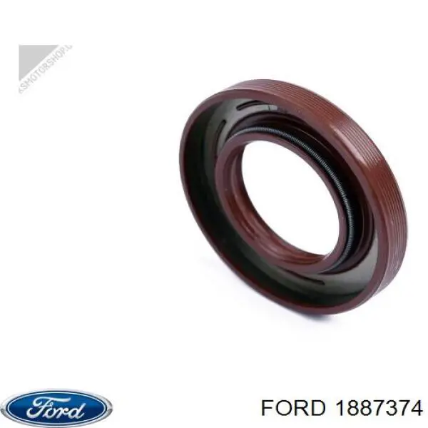 Прокладка клапанної кришки двигуна Ford Kuga (CBS) (Форд Куга)