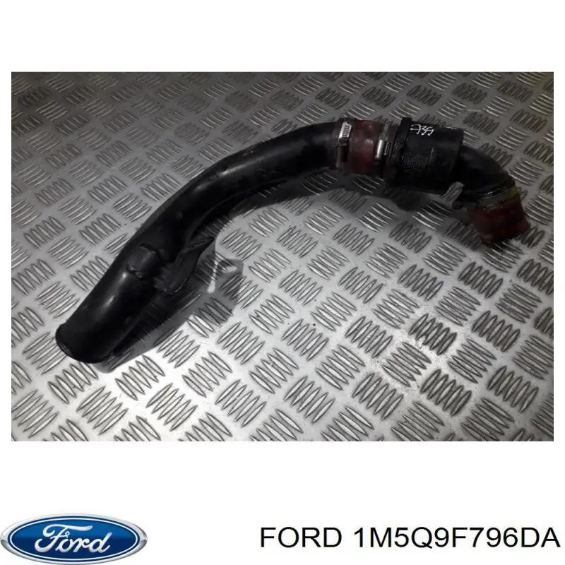 1M5Q9F796DA Ford 