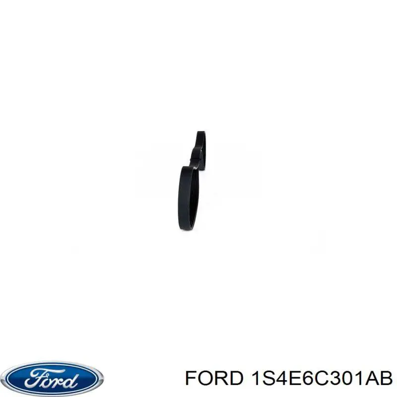 Купити 1S4E6C301AB Ford Ремінь генератора