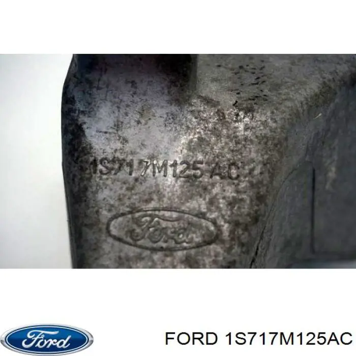  Ford 1S717M125AC ціна, від 19.00 USD