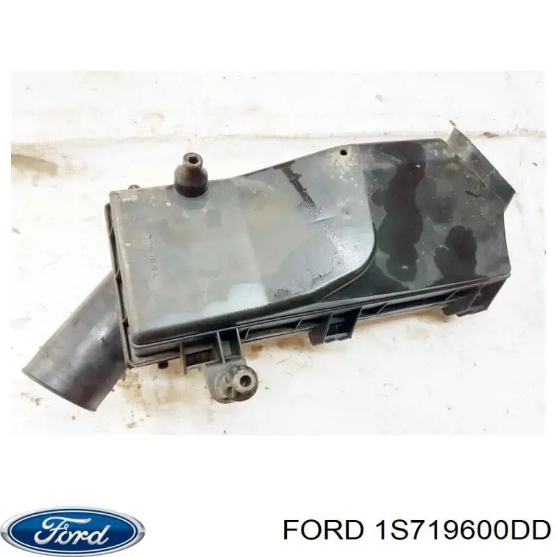 1S719600DD Ford 