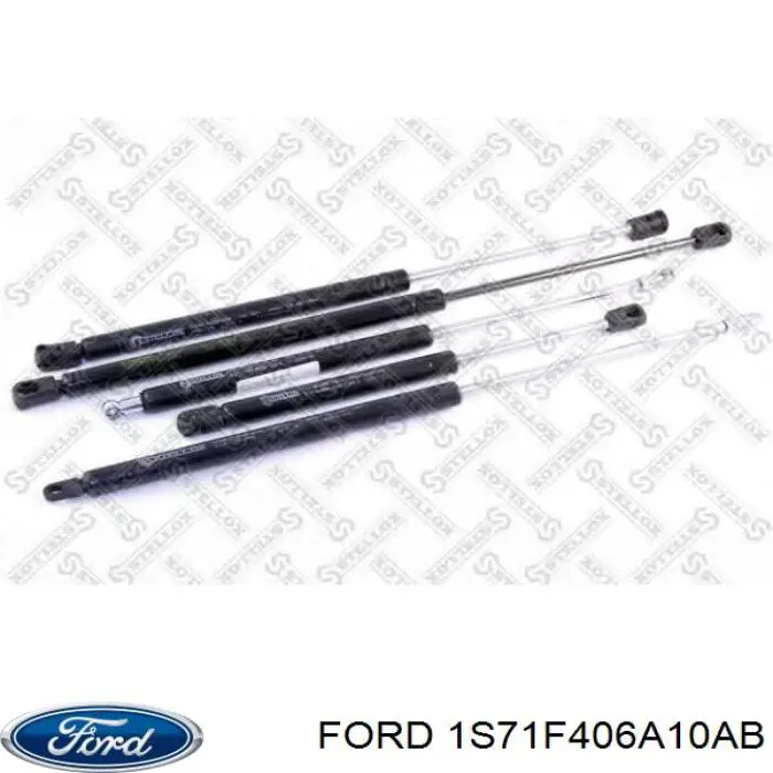 Амортизатор двері задньої Ford 1S71F406A10AB ціна, від 6.63 USD