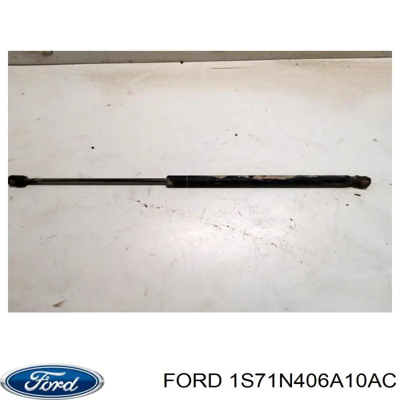 Купити 1S71N406A10AC Ford Амортизатор двері багажника