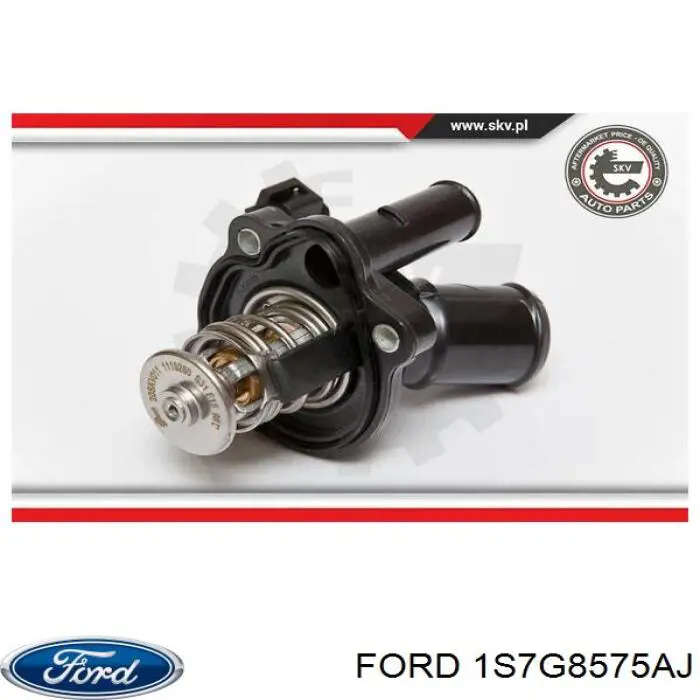 Купити 1S7G8575AJ Ford Термостат в корпусі