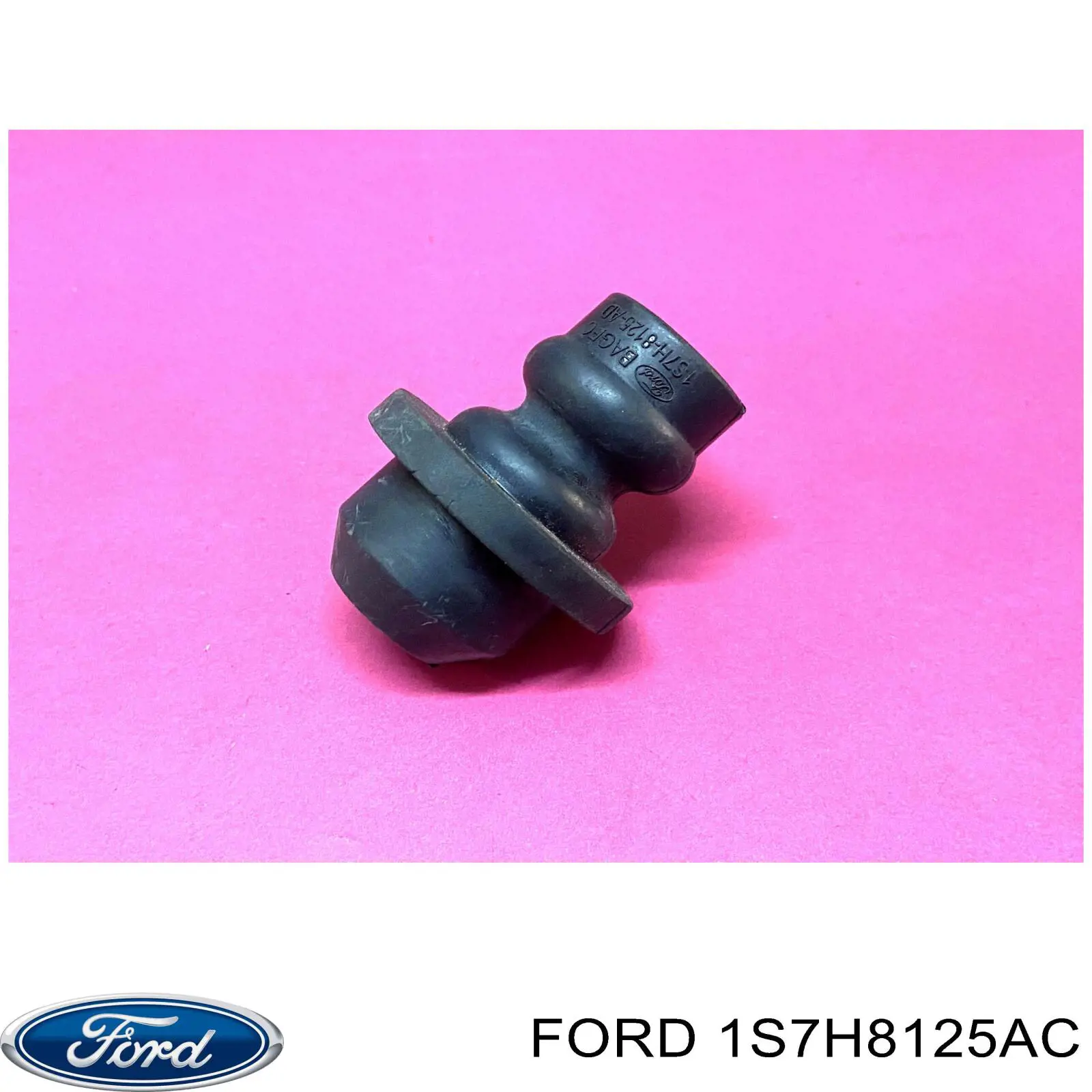  1133170 Ford