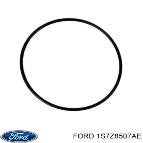 Прокладка водяної помпи Ford 1S7Z8507AE ціна, від 13.54 USD