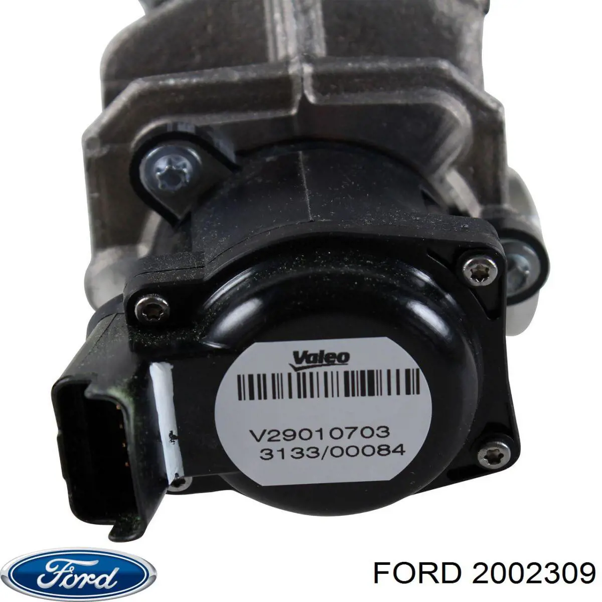  2002309 Ford