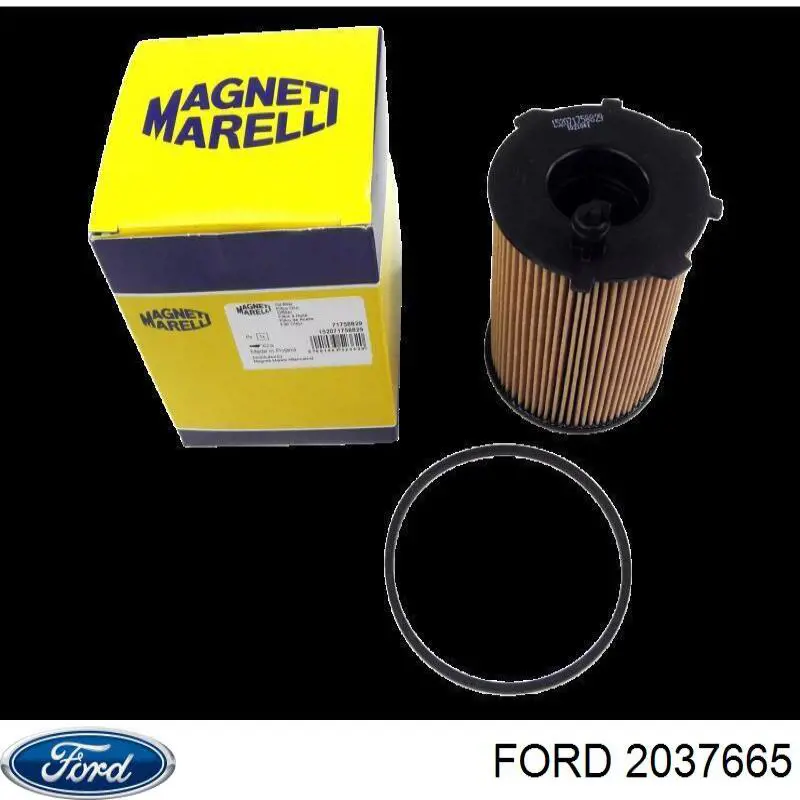 Купити 2037665 Ford Фільтр-відстійник палива грубої очистки