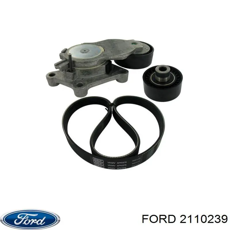 Ремінь приводний, агрегатів, комплект Ford 2110239 ціна, від 47.56 USD