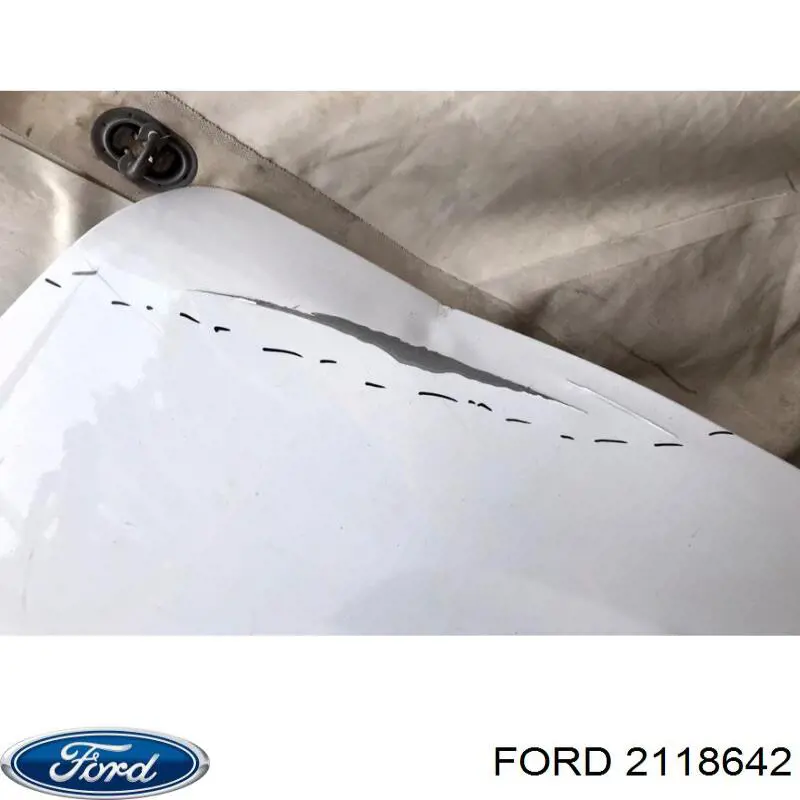 2446970 Ford Двері задка (двоє дверей)