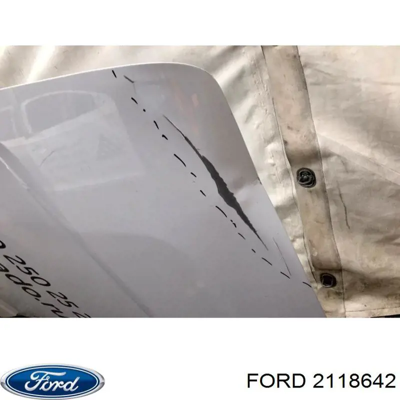 Двері фургона задні, розпашні, ліві Ford 2446970 ціна, від 2234.92 USD