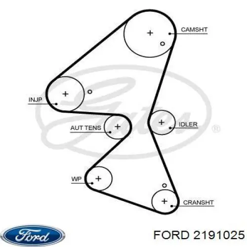 Зубчастий ремінь Ford 2191025 ціна, від 29.78 USD