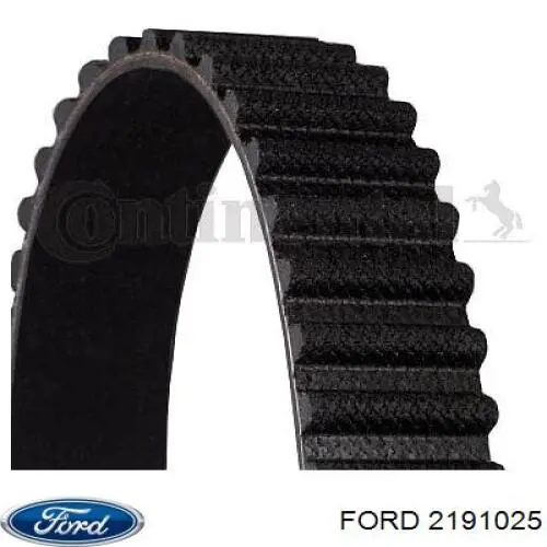 Ремiнь грм на Ford Focus IV 