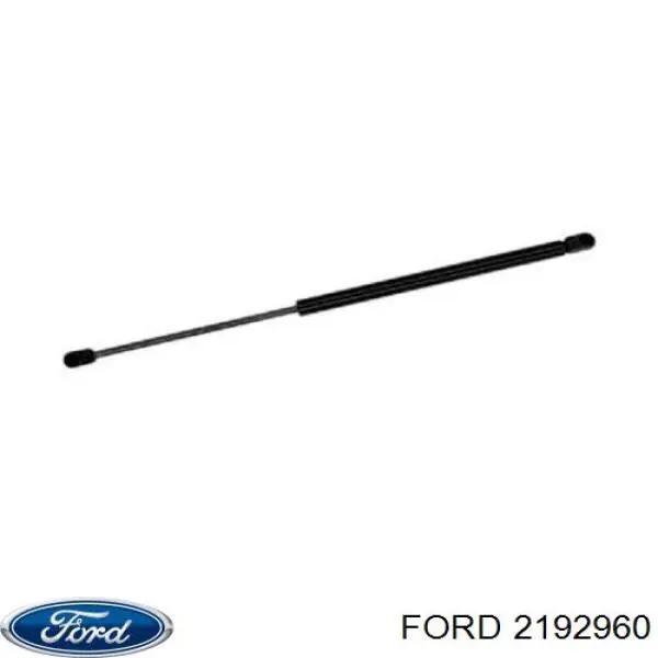 Кожух/кришка/захист ременя ГРМ 2715824 Ford