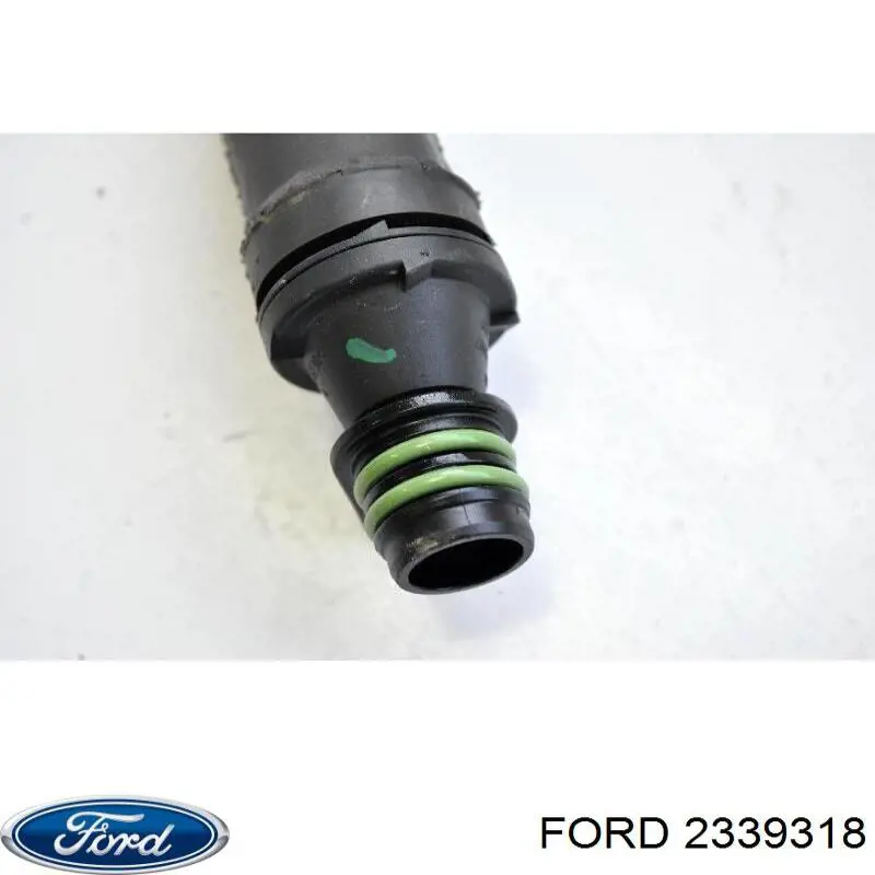 Купити 2339318 Ford Огорожа, рамка під лобове скло