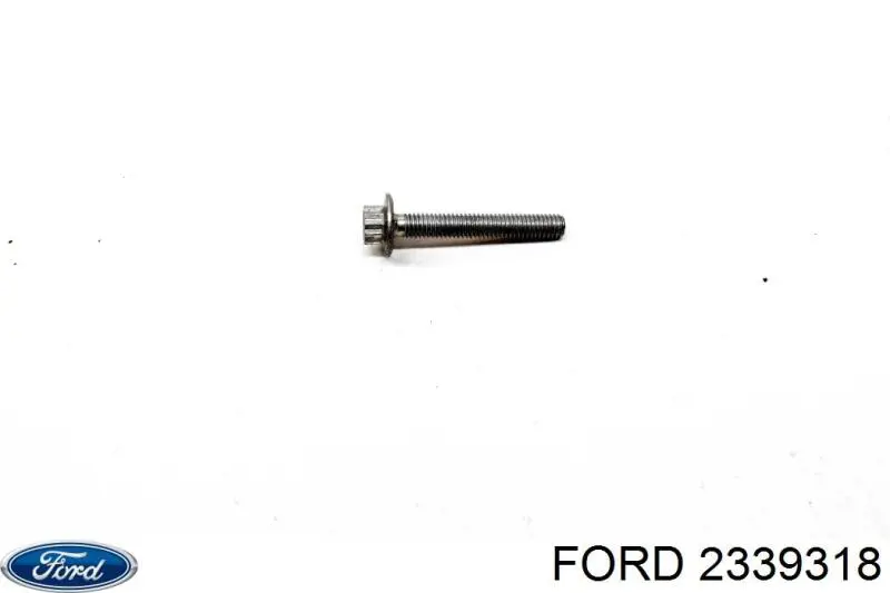 Пластик під лобове скло Ford 2339318 ціна, від 38.33 USD