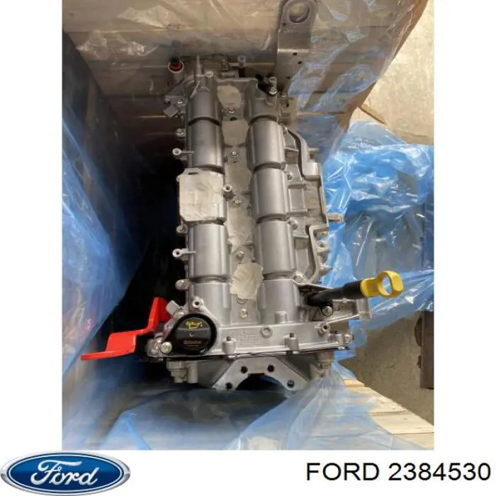 Двигун 2761596 Ford
