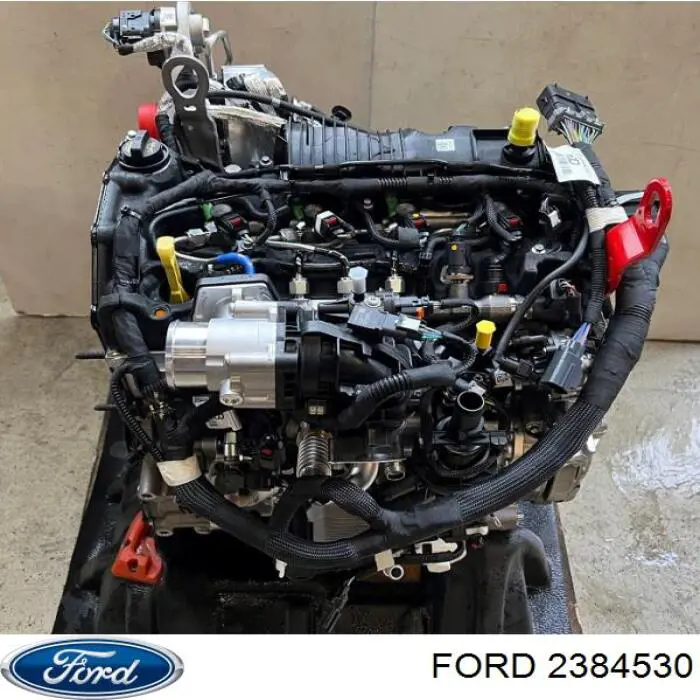 2761596 Ford Мотор в зборі