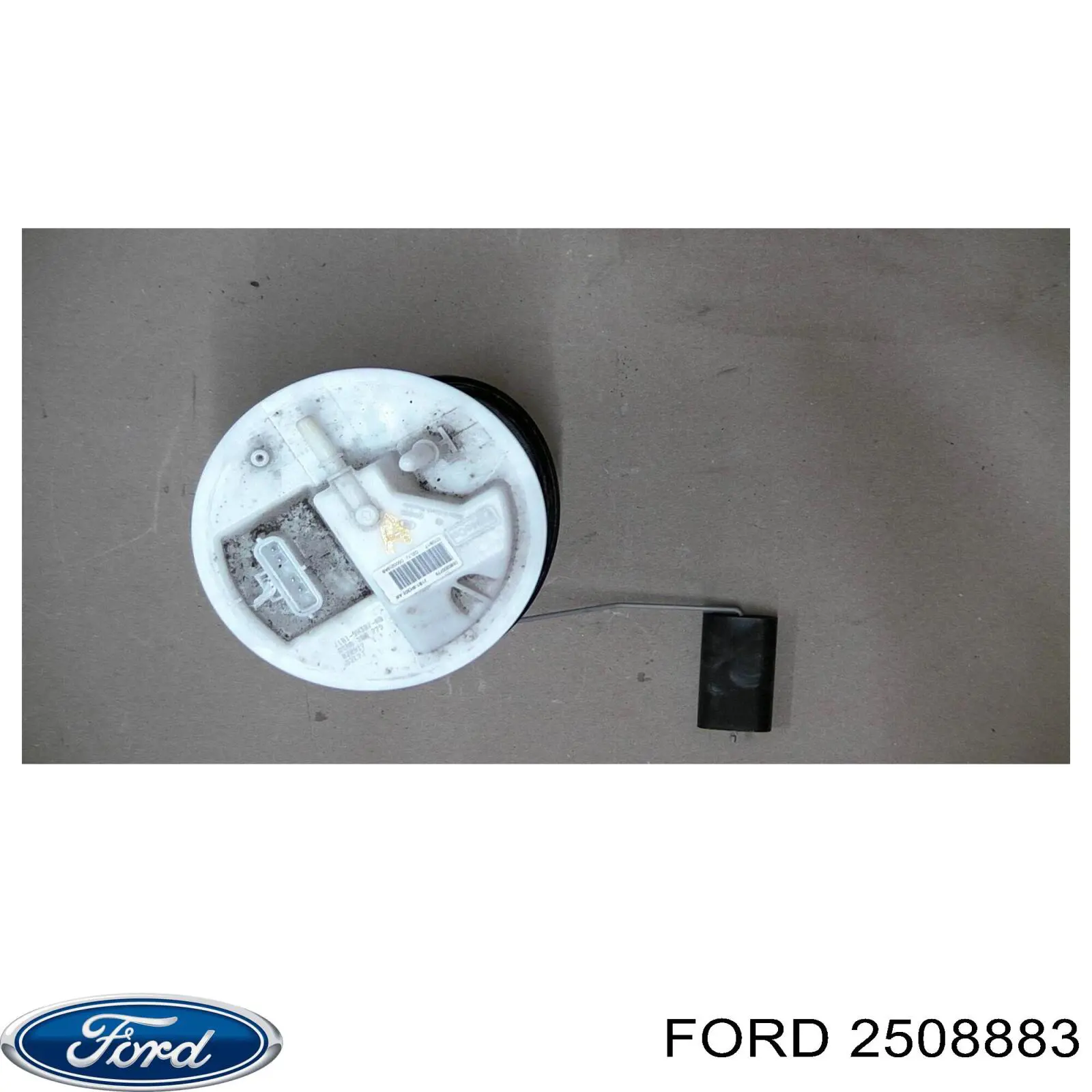 32B203 Polcar Капот