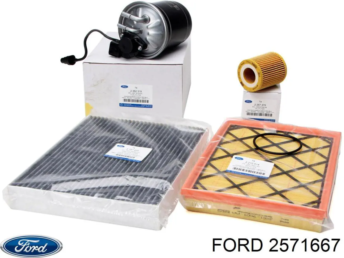 Паливний фільтр на Ford Focus IV (Форд Фокус)