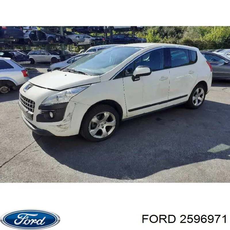 2596971 Ford Фільтр палива