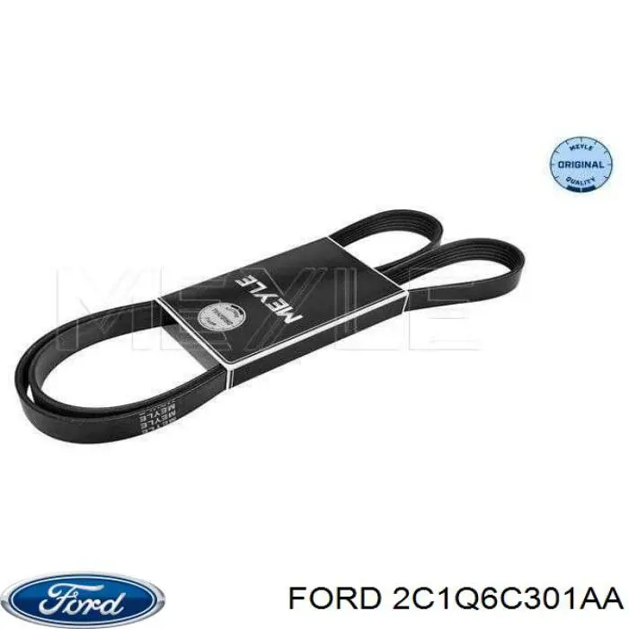 Купити 2C1Q6C301AA Ford Ремінь генератора