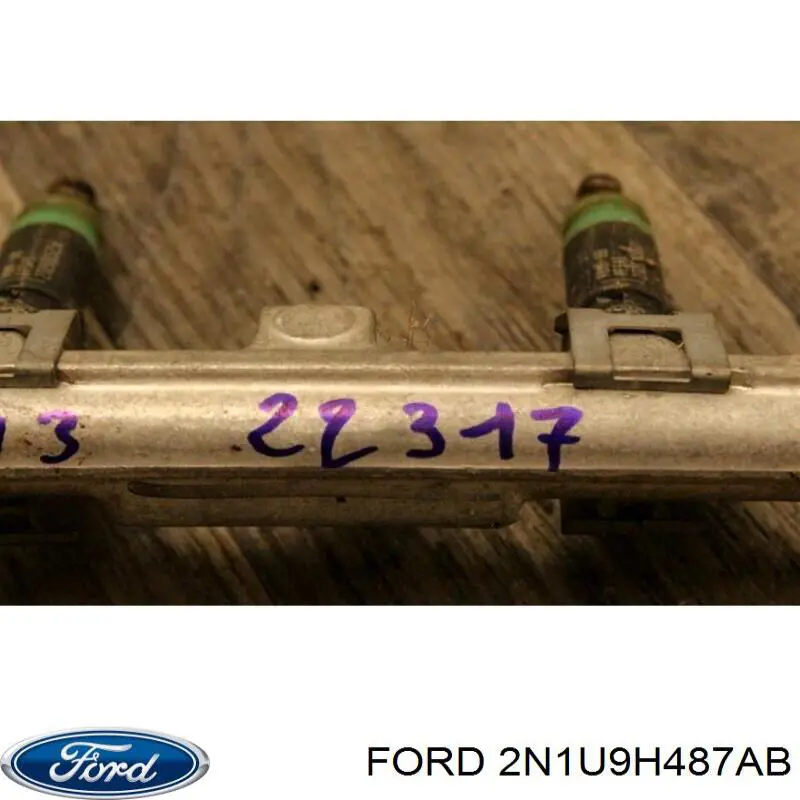 Паливна рампа Ford 2N1U9H487AB