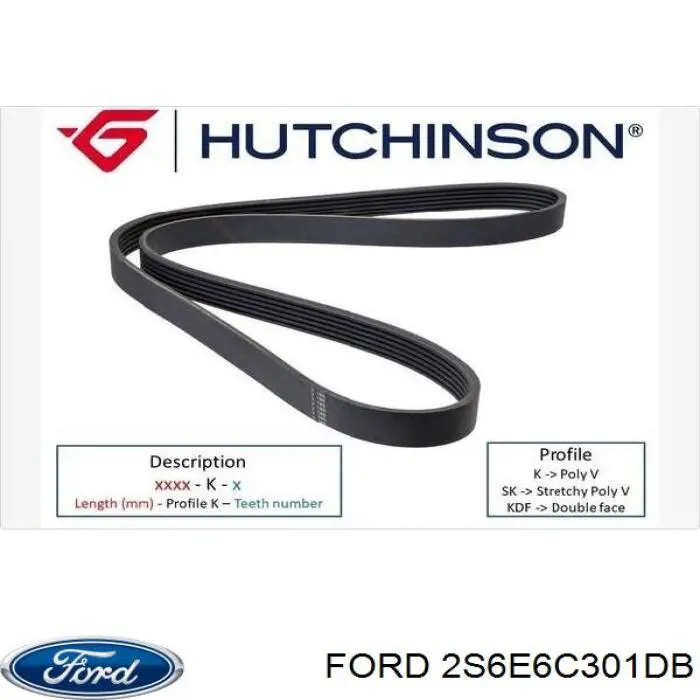 Купити 2S6E6C301DB Ford Ремінь генератора