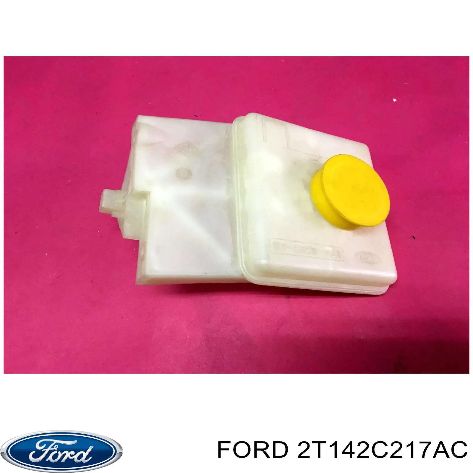 2T142C217AC Ford 