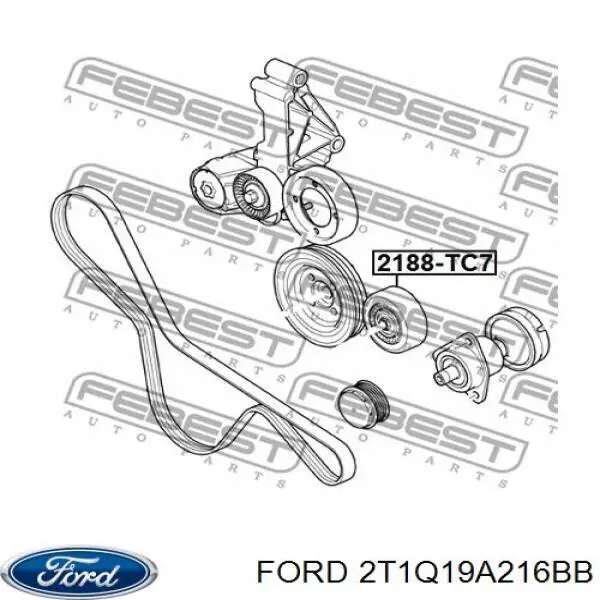 Купити 2T1Q19A216BB Ford Ролик приводного ременя, паразитний