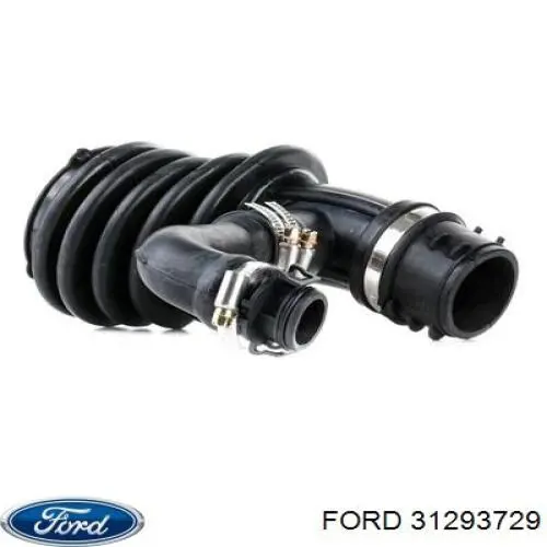  31293729 Ford