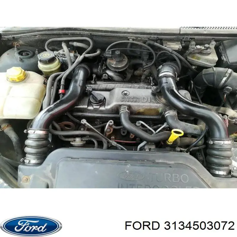 3134503072 Ford 
