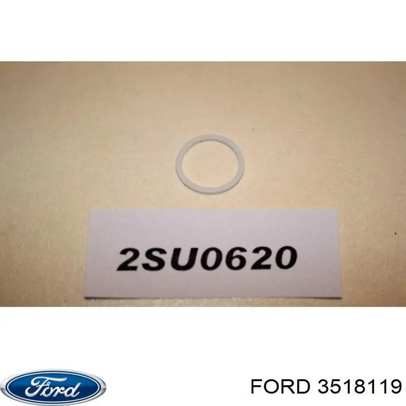 Купити 388898S Ford Кільце насосу гідроусіслітеля керма