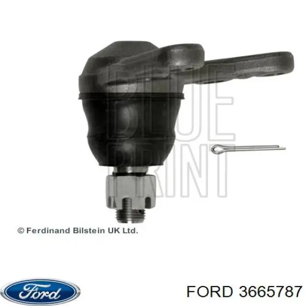 Кульова опора, нижня Ford 3665787 ціна, від 19.18 USD