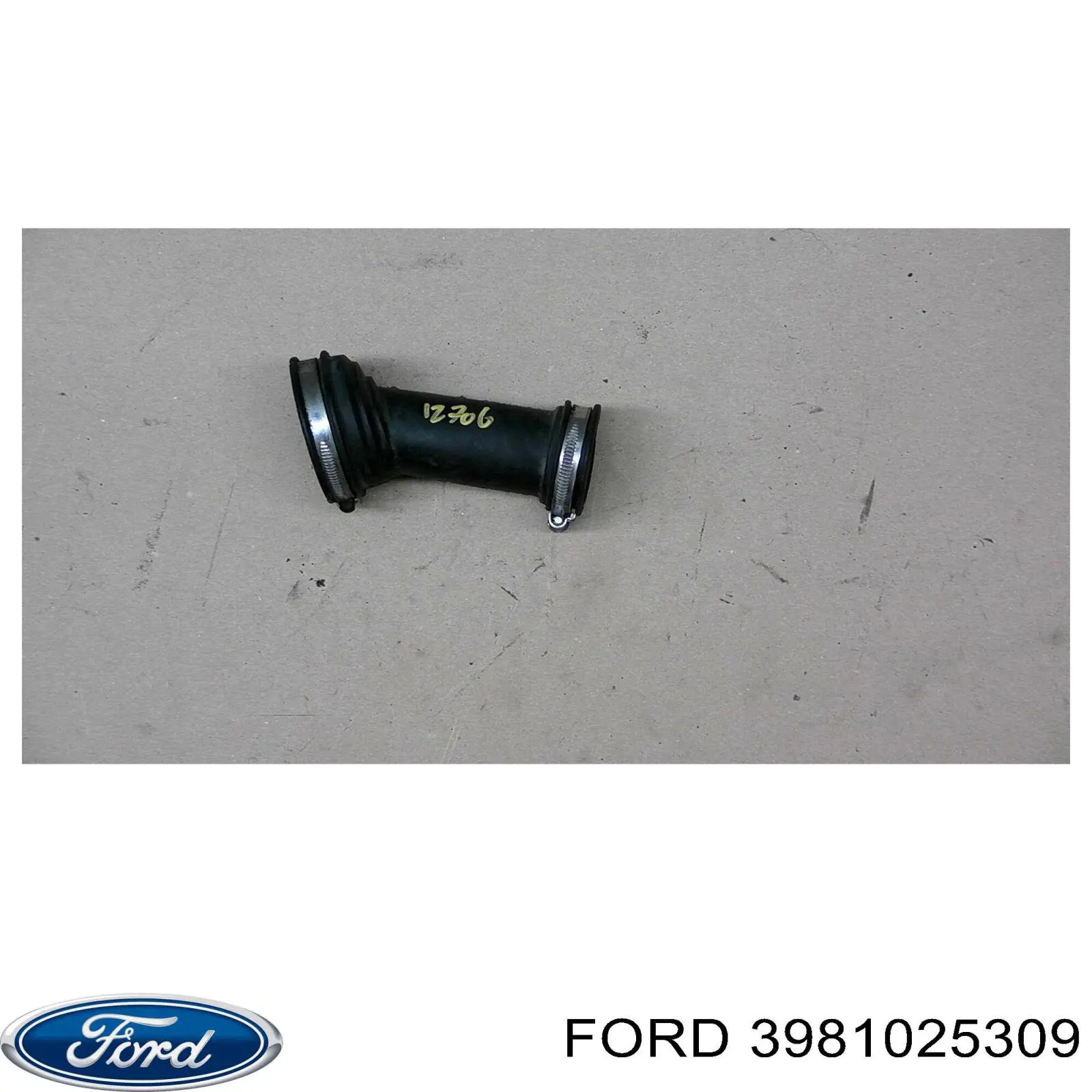  3981025309 Ford