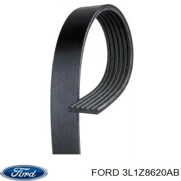 Ремінь генератора 3L1Z8620AB Ford