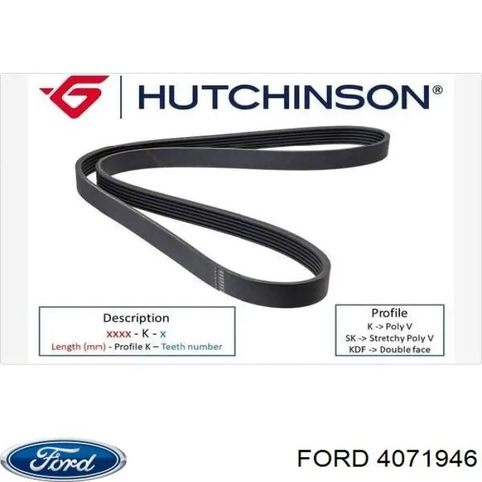 Клиновий ремінь Ford 4071946 ціна, від 19.27 USD