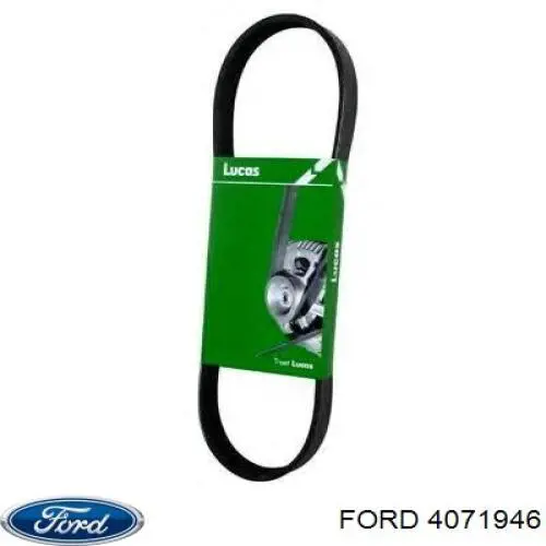 Купити 4071946 Ford Ремінь генератора