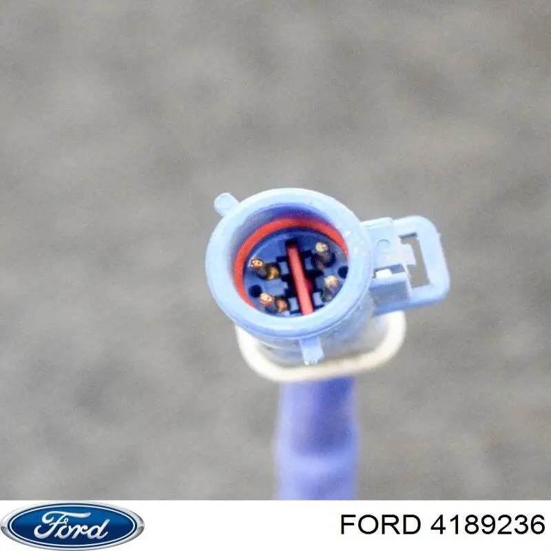 Кільце ущільнювача трубки охолодження АКПП на Ford Focus (CA5)