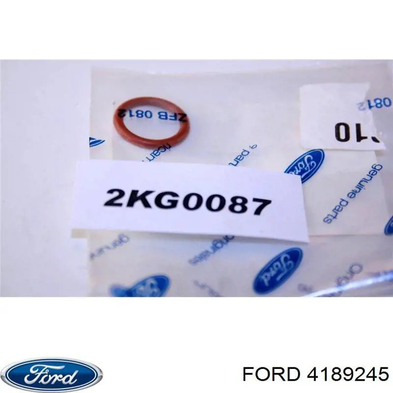 4189245 Ford 