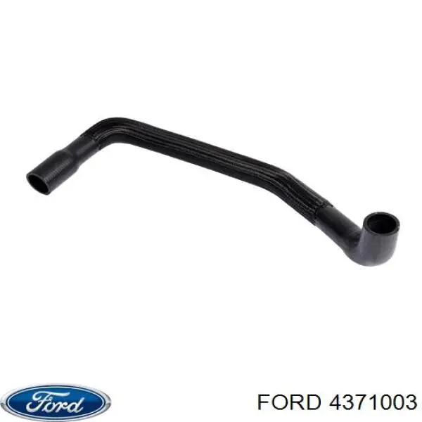 Купити 4371003 Ford Шланг/патрубок радіатора охолодження, нижній